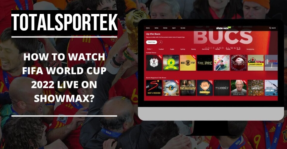 Watch FIFA World Cup 2022 Live Online Via ShowMax App